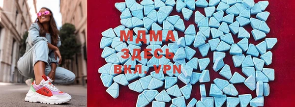 индика Переславль-Залесский