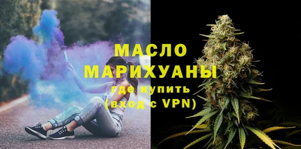 индика Переславль-Залесский