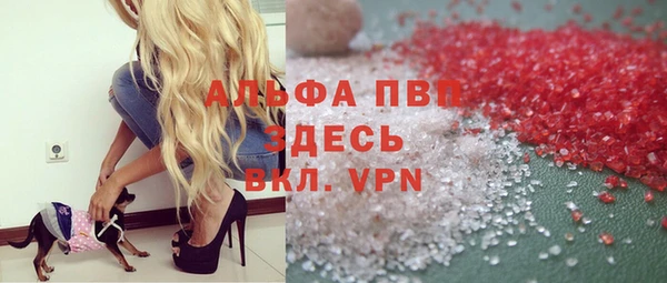 индика Переславль-Залесский