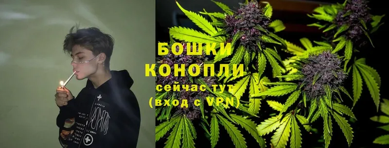 дарнет шоп  Комсомольск  MEGA ССЫЛКА  МАРИХУАНА THC 21% 